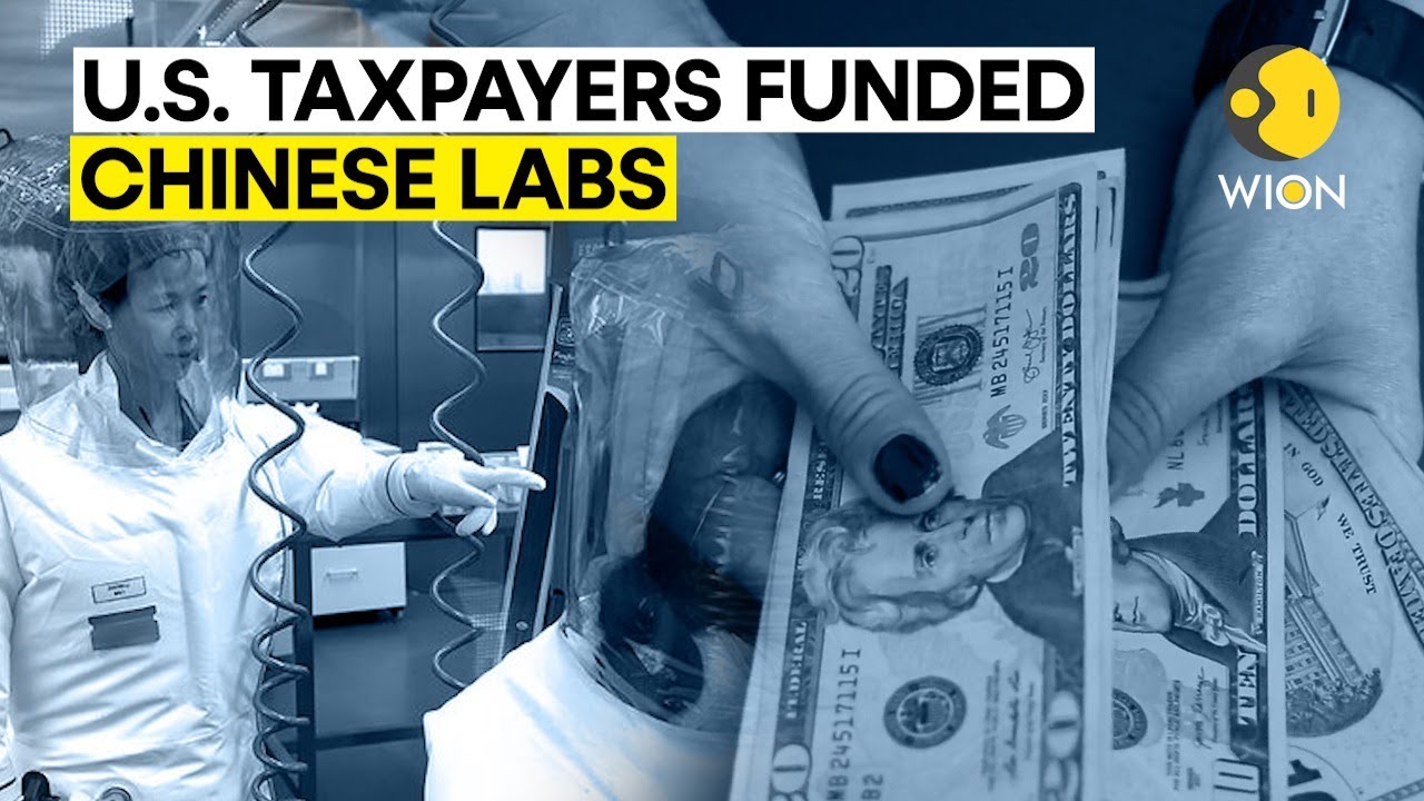 Did US taxpayers fund M worth of research in Wuhan before the COVID-19 outbreak