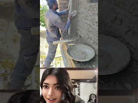 Duckling saves seriously injured cat🐥#DuckRescue #CuteAnimals #AnimalRescue