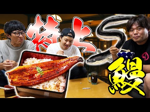 今年も極上のうなぎを頂いたので食べたらやっぱり美味すぎた！！