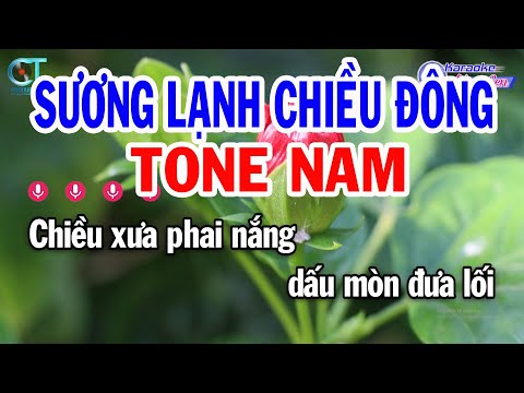 Karaoke Sương Lạnh Chiều Đông Tone Nam ( Dm ) Nhạc Sống Beat Mới | Karaoke Đồng Sen