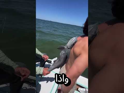 التصقت سمكة قرش في ظهر الصياد! 😧