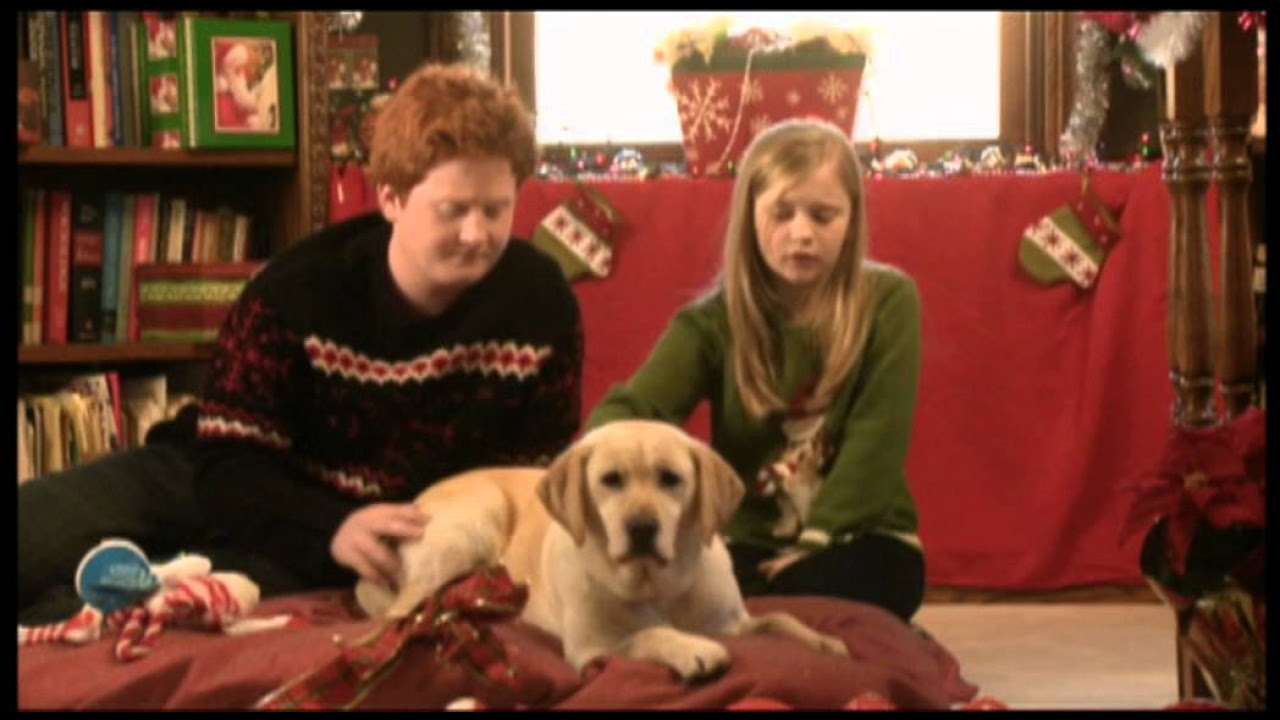 The Dog Who Saved Christmas Trailer thumbnail