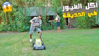 قررت اسوي محمية طيور في حديقتنا شوفو شصار