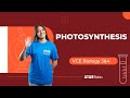 Photosynthesis Concepts and Misconceptions
