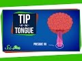 Understanding Tip-of-the-Tongue Phenomenon