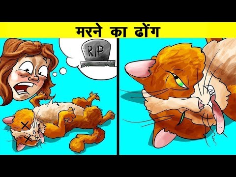 शरारती जानवरों ने इंसानों के किया लोटपोट | Times Mischievous Animals Played With Humans
