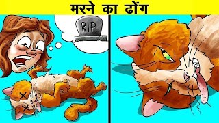 शरारती जानवरों ने इंसानों के किया लोटपोट | Times Mischievous Animals Played With Humans
