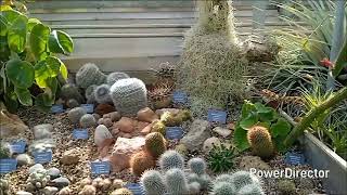 Botanischer Garten der Universität Basel 