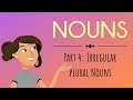 Exploring Irregular Plural Nouns