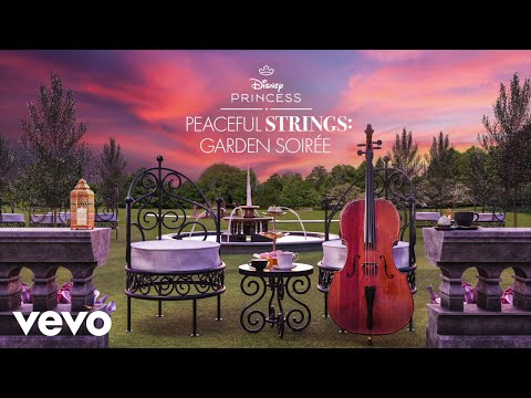 A Whole New World (From &quot;Disney Princess Peaceful Strings: Garden Soir&#233;e&quot;/Audio Only)