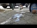 Water Absorption Experiment Concepts