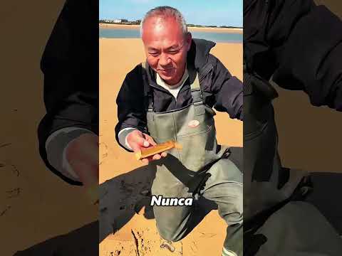 Regalo del océano #foryou #animals #seafood