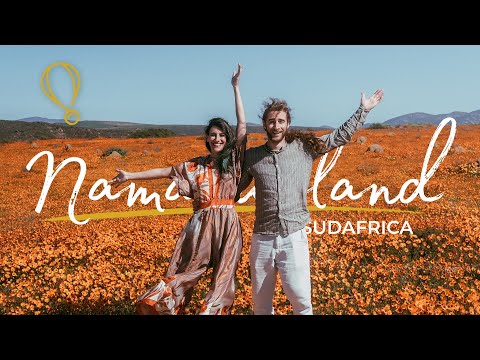 La fioritura PIÙ BELLA DEL MONDO! 🌼 Namaqualand on the road