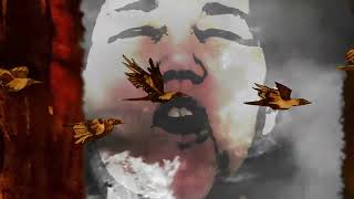 SVARTA HAVET - DITT RIKE (OFFICIAL VIDEO)