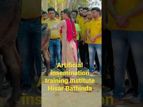 Ai training institute in india 📞7618200015📞7876711712