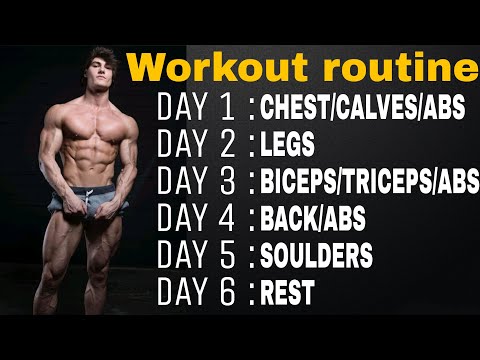 Jeff Seid Workout Plan Jobs Ecityworks