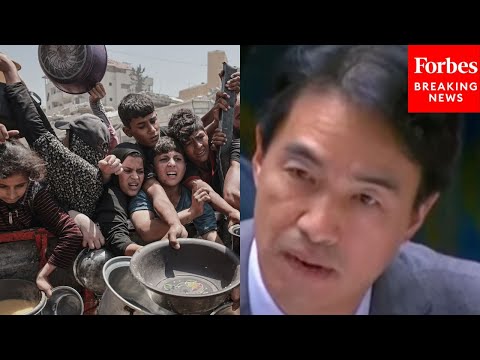 YouTube video thumbnail: 'Starvation Must Not be Weaponized': South Korea UN Rep Calls on Israel to end Gaza Aid Blockade