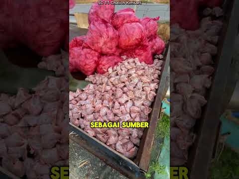 Tulang Ayam Jadi Pakan Ikan? Ternyata Bisa!