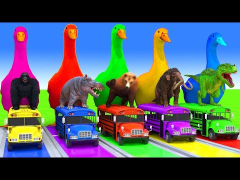5 Giant Duck Cartoon With Gorilla, Hippopotamus,Dinosaur, Bear, Mammoth - Funny 3d Animals