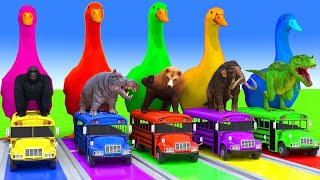 5 Giant Duck Cartoon With Gorilla, Hippopotamus,Dinosaur, Bear, Mammoth - Funny 3d Animals