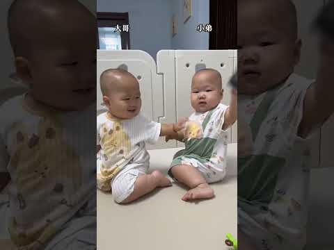 战况总结！哥哥抢东西成功，弟弟打哥哥成功，和谐的ending！#funny#双胞胎#萌娃#搞笑