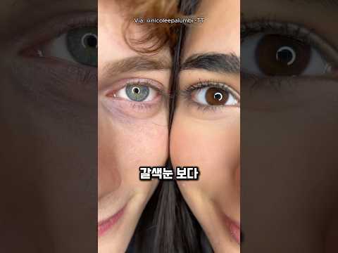 푸른 눈이 불편한 이유