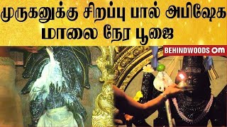 🔴நேரலை: முருகனுக்கு பால் அபிஷேக மாலை நேர சிறப்பு  பூஜை | Behindwoods Om