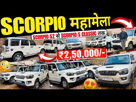 स्कार्पियो मंडी, पटना बिहार🔥 | Second Hand Scorpio Sale Patna | Cheap Rate Mahindra Thar Patna 2025