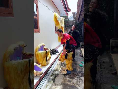 MELEPAS KOSTUM KING KONG #gorilla #monkey #shorts