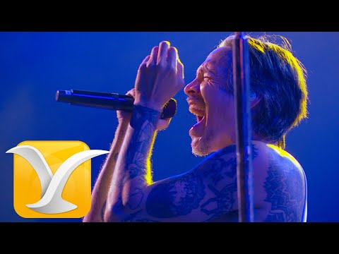Incubus - Stellar - Festival Internacional de la Canción de Viña del Mar 2025 - Full HD 1080p.