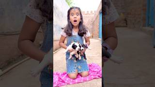 Amaira n bacha liya #shorts #thegeetagurjar