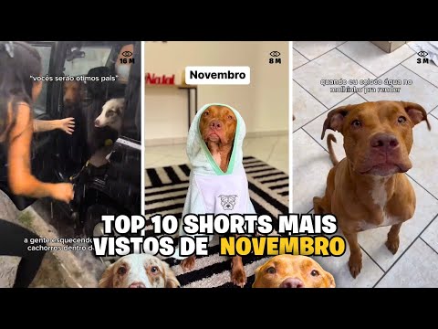 Os Shorts Mais Vistos de Novembro no Nosso Canal!