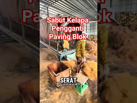 Dari Limbah Kelapa Menjadi JALAN #reaction #viralshort #info #teknologi #china
