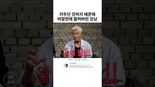 키우던 강아지 때문에 연애 들켜버린 강나미