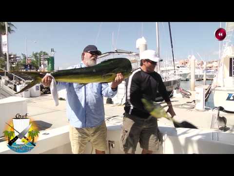Sea Lion Steals Prize Fish Out Of Fisherman's Hands!