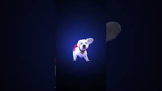It’s a bird, it’s a plane, it’s a… KRYPTO⁉️