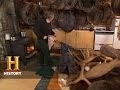 Fur Processing Techniques and Benefits