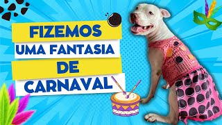 FIZEMOS UMA FANTASIA DE CARNAVAL PRO NOSSO CACHORRO