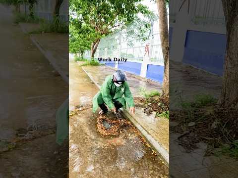 Draining the Flood Unclogging the Storm Drain After Heavy Rain