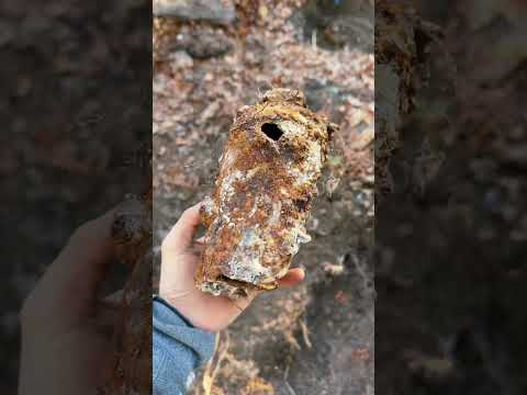 Sifting A WWII Base!