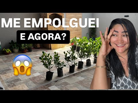 Deu a louca na mulher | trouxe a floricultura pra casa + niver surpresa da Jady