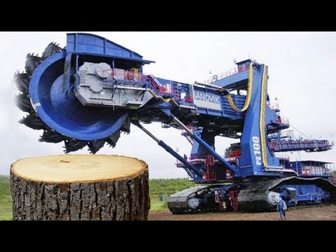 Dangerous Fastest Skills Chainsaw Tree Felling, Excavator Tree Stump Removal & Heavy Logging Truck