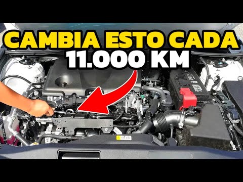 Cómo Hacer Que Tu COCHE Dure Más De 500.000 KM Sin Grandes Reparaciones