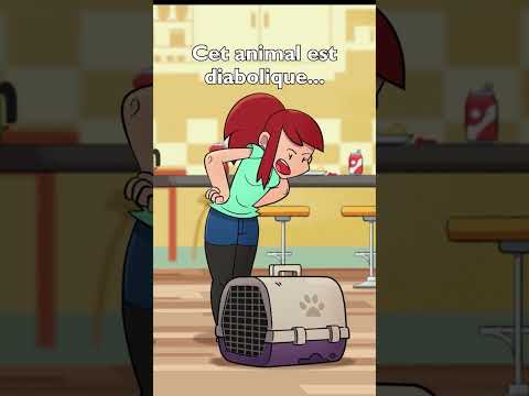 🐈 Cet animal est diabolique... 🐈 #série #animation #humour