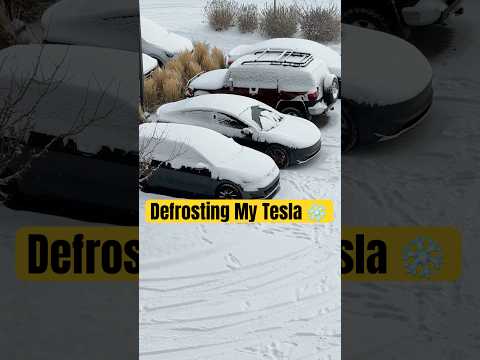 Defrosting My Tesla From The Comfort Of My Couch ๐โ๏ธ