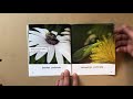 Pollination and Its Importance