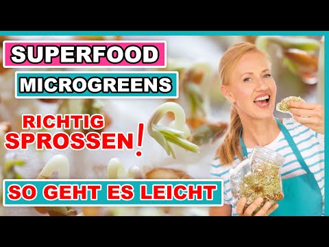 Powerfood aus dem Glas DIY Sprossen❗️MEGA TIPP für viel Energie, Detox, & Zellschutz DIY 💚
