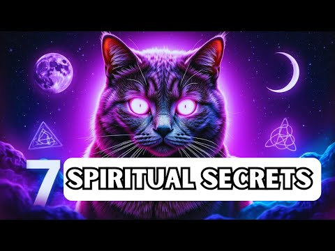 7 Spiritual Secrets Your Cat Wants You to Know