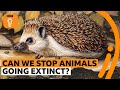 Threats to Species and Extinction