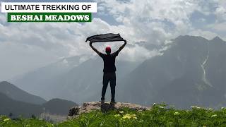 Beshai Meadows Kalam | Swat Valley | Travel Pakistan
